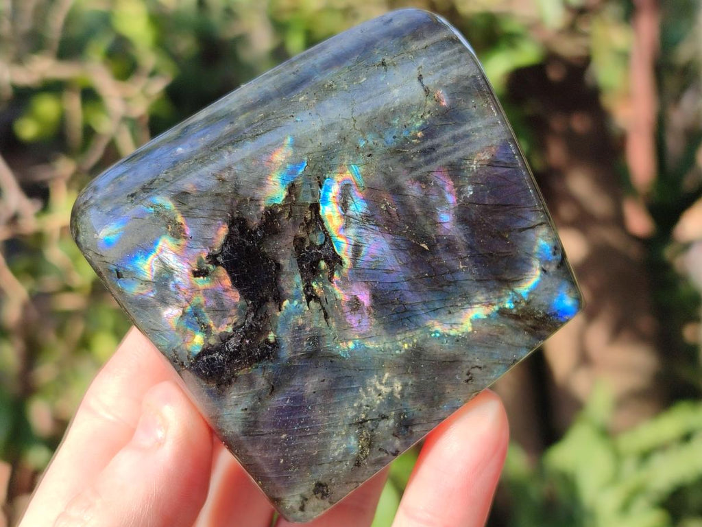 Polished Labradorite Standing Display Pieces x 6 From Madagascar - Toprock Gemstones and Minerals 