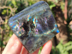 Polished Labradorite Standing Display Pieces x 6 From Madagascar - Toprock Gemstones and Minerals 