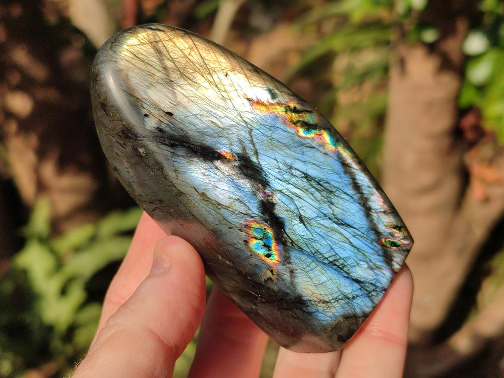 Polished Labradorite Standing Display Pieces x 6 From Madagascar - Toprock Gemstones and Minerals 