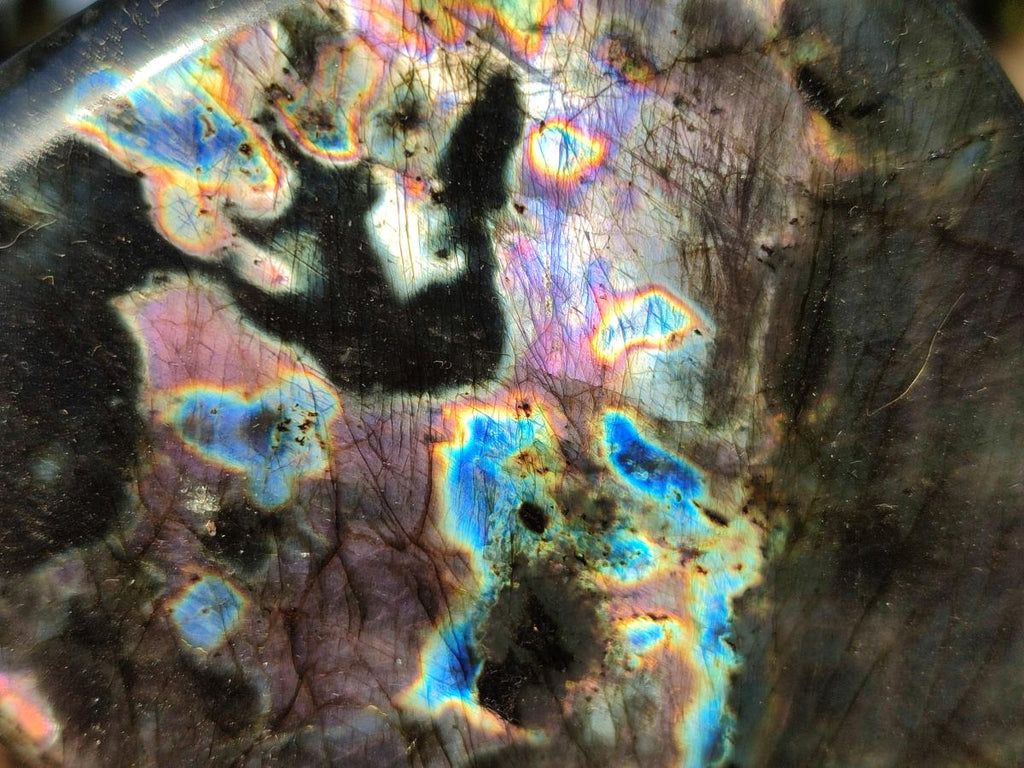 Polished Labradorite Standing Display Pieces x 6 From Madagascar - Toprock Gemstones and Minerals 