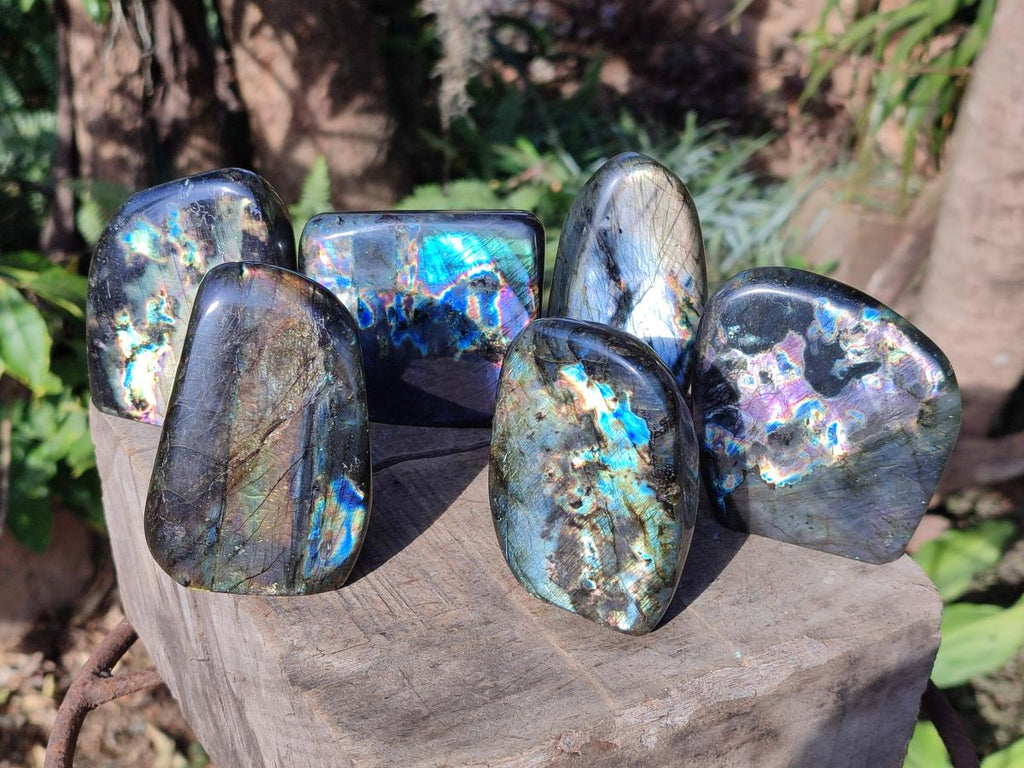 Polished Labradorite Standing Display Pieces x 6 From Madagascar - Toprock Gemstones and Minerals 