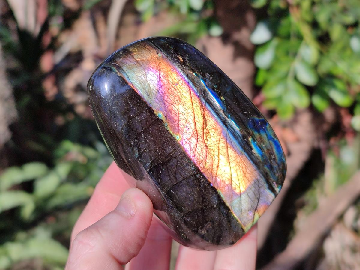 Polished Labradorite Standing Display Pieces x 6 From Madagascar - Toprock Gemstones and Minerals 