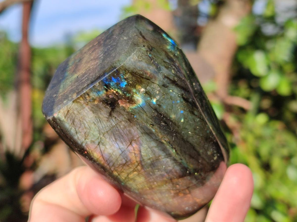 Polished Labradorite Standing Display Pieces x 6 From Madagascar - Toprock Gemstones and Minerals 