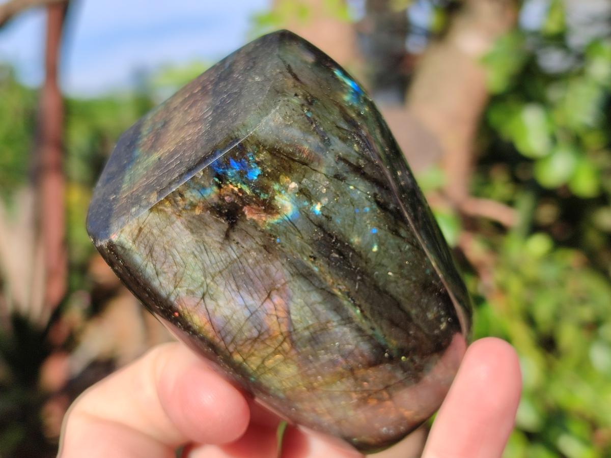 Polished Labradorite Standing Display Pieces x 6 From Madagascar - Toprock Gemstones and Minerals 