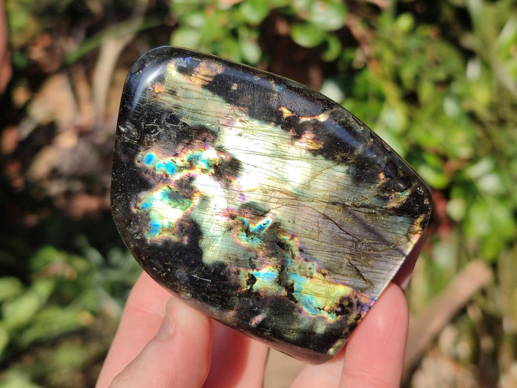 Polished Labradorite Standing Display Pieces x 6 From Madagascar - Toprock Gemstones and Minerals 