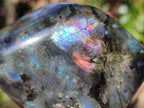 Polished Labradorite Standing Display Pieces x 6 From Madagascar - Toprock Gemstones and Minerals 