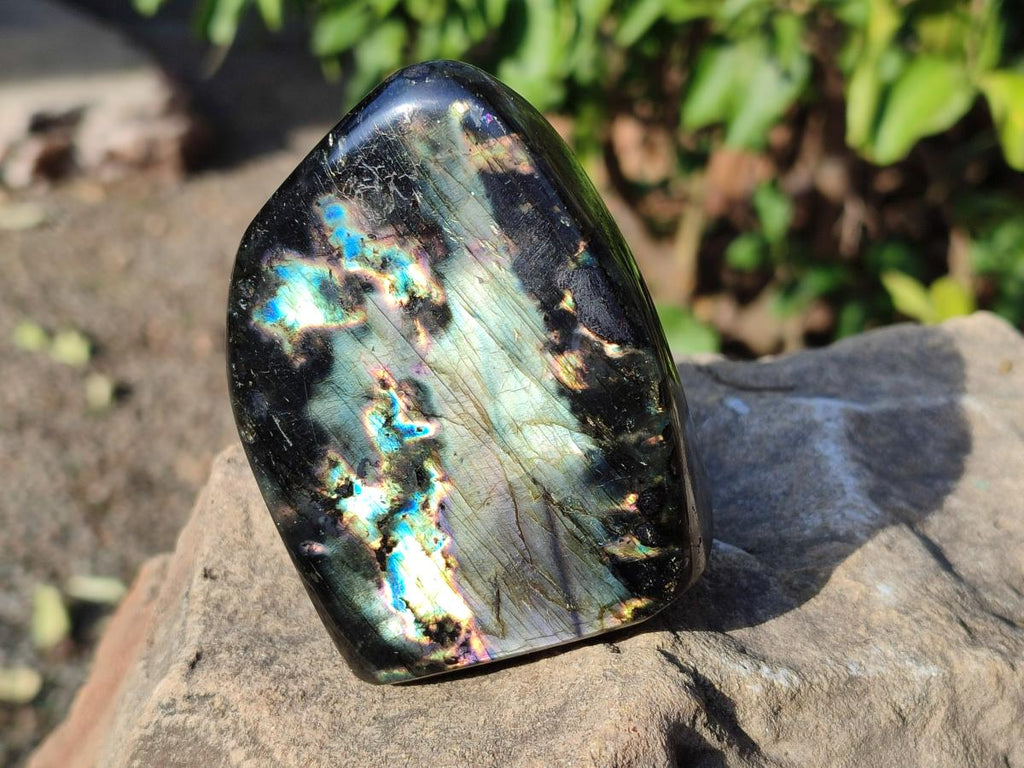 Polished Labradorite Standing Display Pieces x 6 From Madagascar - Toprock Gemstones and Minerals 