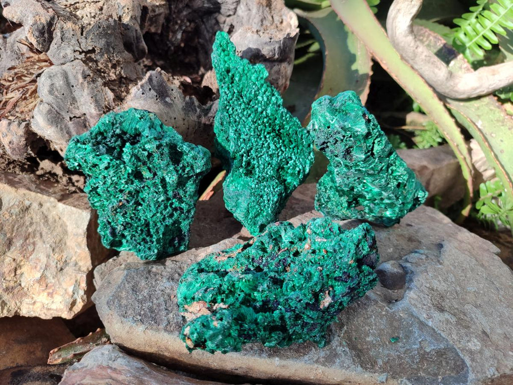 Natural Silky Malachite Specimens x 4 From Kasompe, Congo - Toprock Gemstones and Minerals 