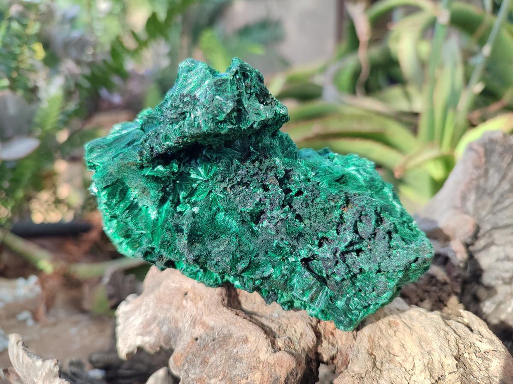Natural Silky Malachite Specimens x 4 From Kasompe, Congo - Toprock Gemstones and Minerals 