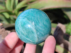 Polished Amazonite Spheres x 6 From Madagascar - Toprock Gemstones and Minerals 