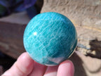 Polished Amazonite Spheres x 6 From Madagascar - Toprock Gemstones and Minerals 