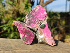 Natural Drusy Salrose Cobaltoan Specimens on Dolomite x 24 From Kakanda, Congo - Toprock Gemstones and Minerals 
