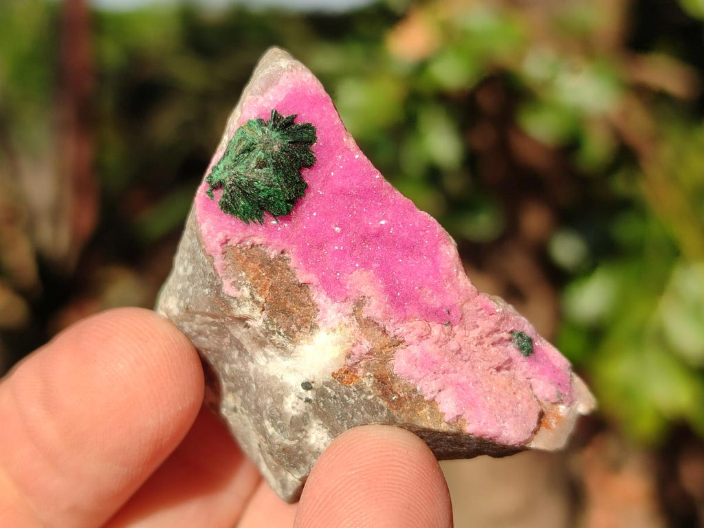Natural Drusy Salrose Cobaltoan Specimens on Dolomite x 24 From Kakanda, Congo - Toprock Gemstones and Minerals 