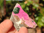 Natural Drusy Salrose Cobaltoan Specimens on Dolomite x 24 From Kakanda, Congo - Toprock Gemstones and Minerals 