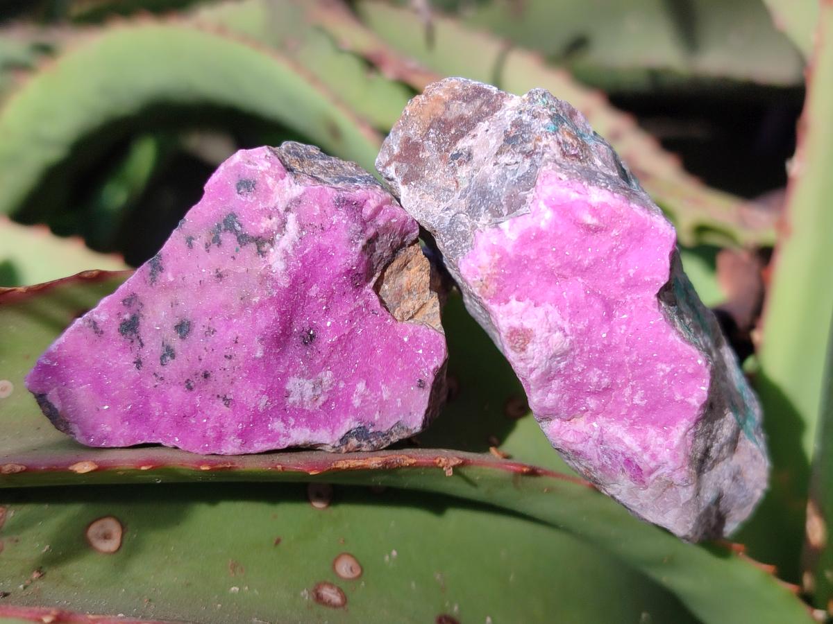 Natural Drusy Salrose Cobaltoan Specimens on Dolomite x 24 From Kakanda, Congo - Toprock Gemstones and Minerals 