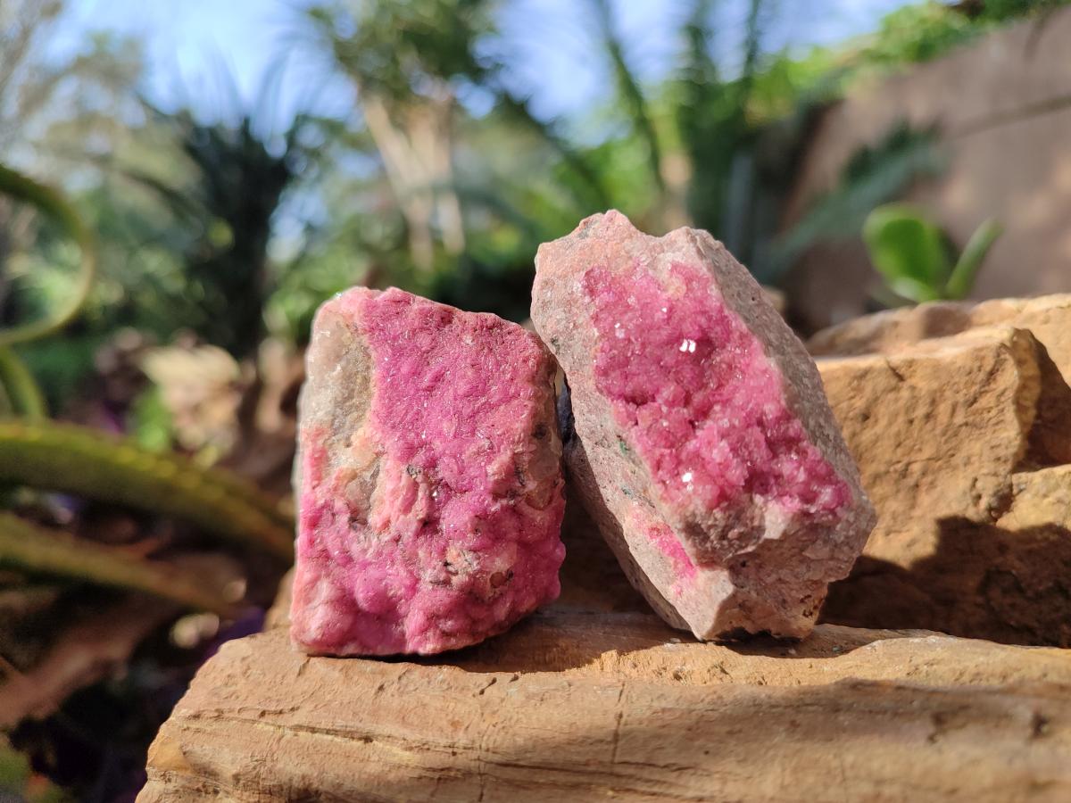 Natural Drusy Salrose Cobaltoan Specimens on Dolomite x 24 From Kakanda, Congo - Toprock Gemstones and Minerals 