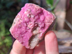 Natural Drusy Salrose Cobaltoan Specimens on Dolomite x 24 From Kakanda, Congo - Toprock Gemstones and Minerals 
