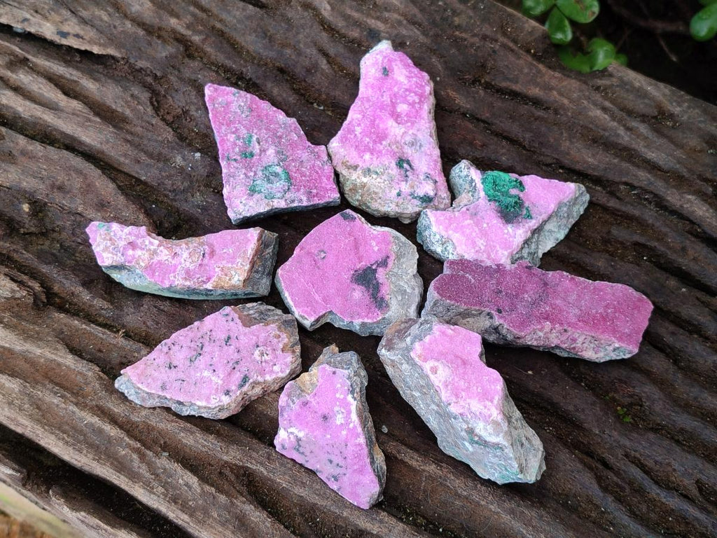 Natural Drusy Salrose Cobaltoan Specimens on Dolomite x 24 From Kakanda, Congo - Toprock Gemstones and Minerals 