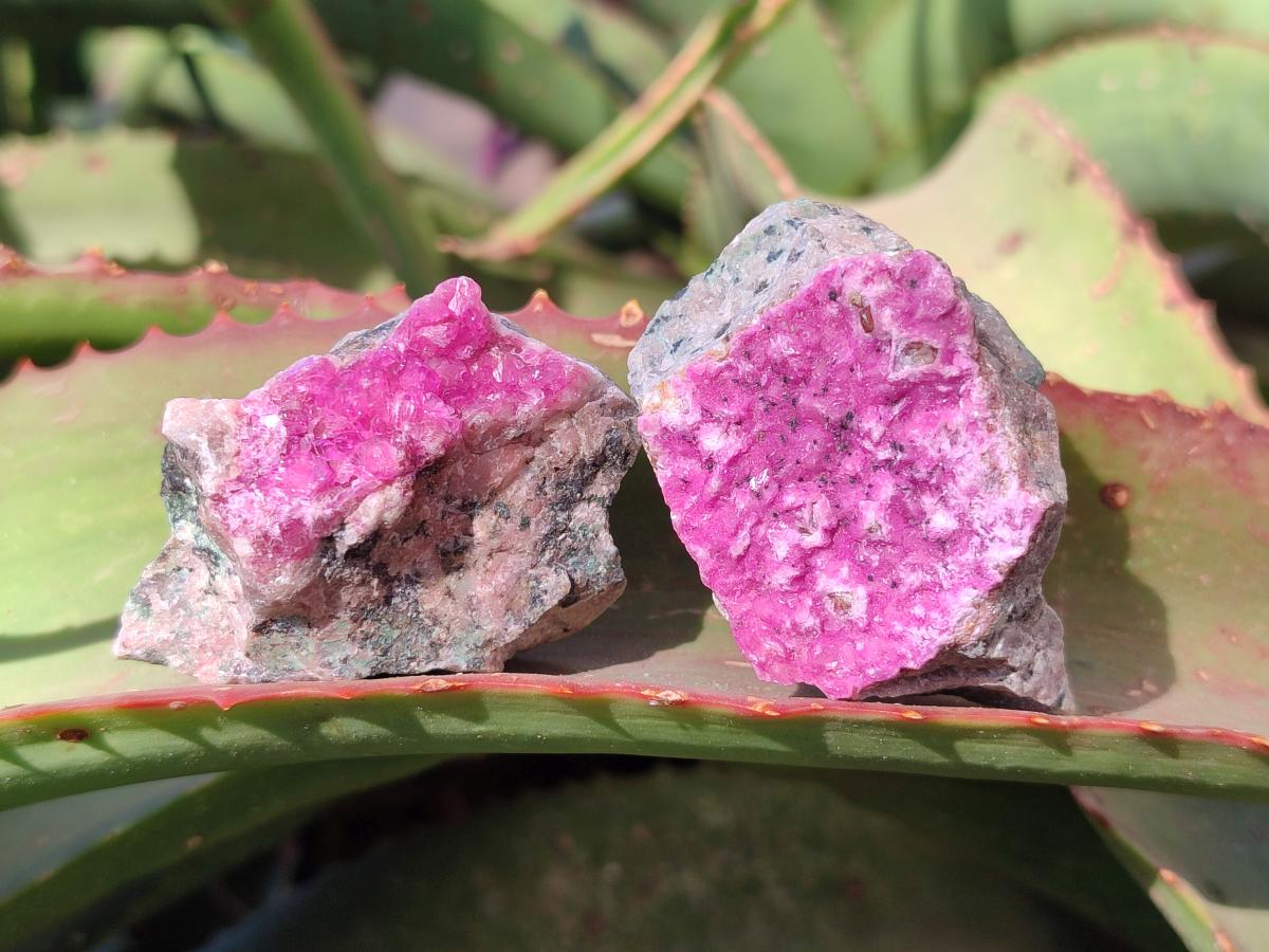 Natural Drusy Salrose Cobaltoan Specimens on Dolomite x 24 From Kakanda, Congo - Toprock Gemstones and Minerals 
