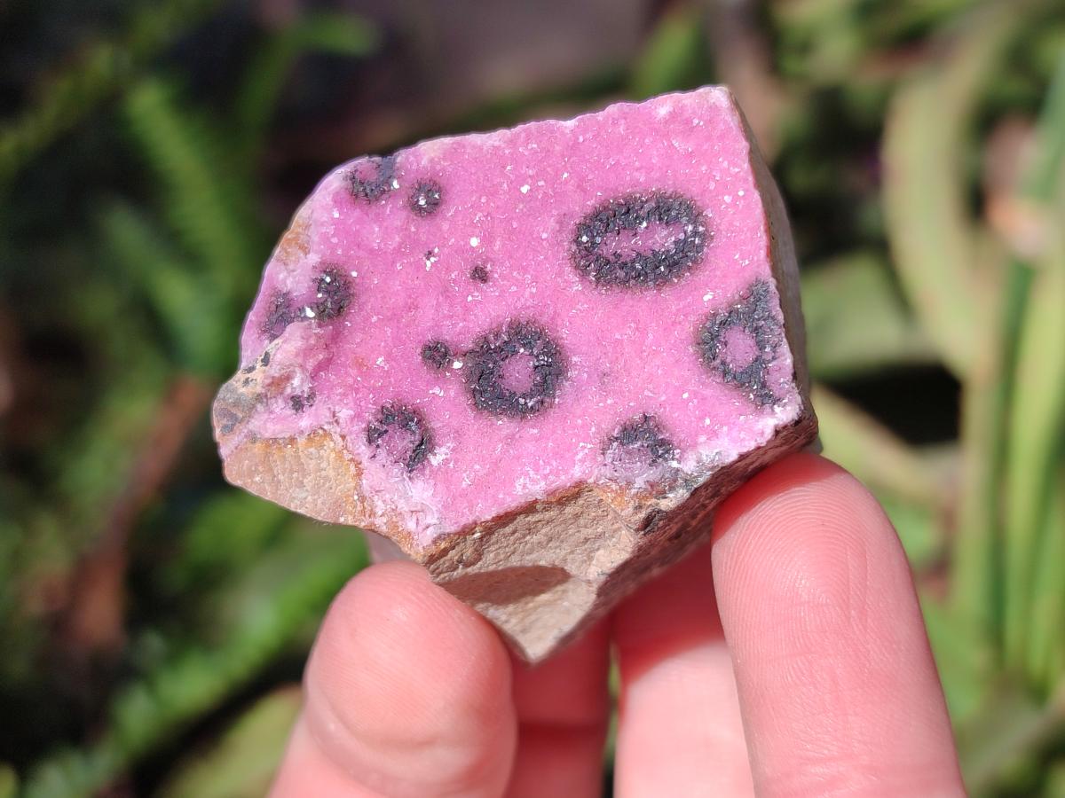 Natural Drusy Salrose Cobaltoan Specimens on Dolomite x 24 From Kakanda, Congo - Toprock Gemstones and Minerals 