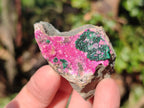 Natural Drusy Salrose Cobaltoan Specimens on Dolomite x 24 From Kakanda, Congo - Toprock Gemstones and Minerals 