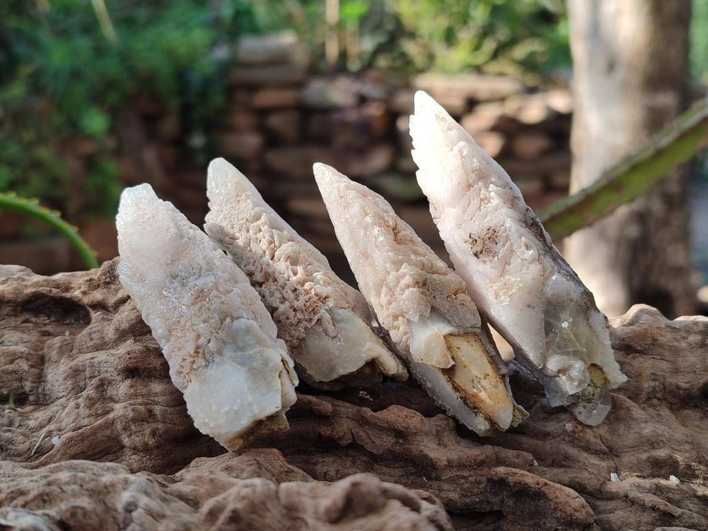 Natural Drusy Quartz Coated Spearhead Calcite Crystals x 35 From Albert's Mountain, Lesotho - Toprock Gemstones and Minerals 