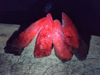 Natural Drusy Quartz Coated Spearhead Calcite Crystals x 35 From Albert's Mountain, Lesotho - Toprock Gemstones and Minerals 