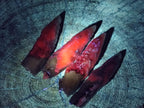Natural Drusy Quartz Coated Spearhead Calcite Crystals x 35 From Albert's Mountain, Lesotho - Toprock Gemstones and Minerals 