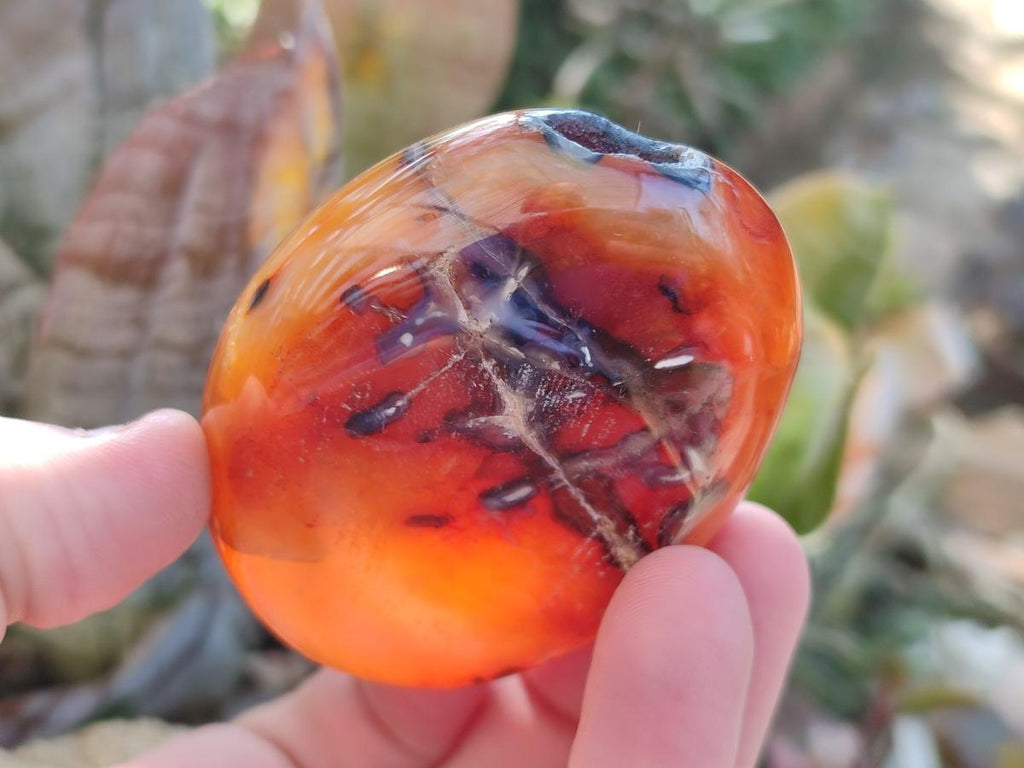 Polished Carnelian Agate Gemstone Bowls x 12 From Madagascar - Toprock Gemstones and Minerals 