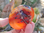Polished Carnelian Agate Gemstone Bowls x 12 From Madagascar - Toprock Gemstones and Minerals 
