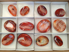 Polished Carnelian Agate Gemstone Bowls x 12 From Madagascar - Toprock Gemstones and Minerals 