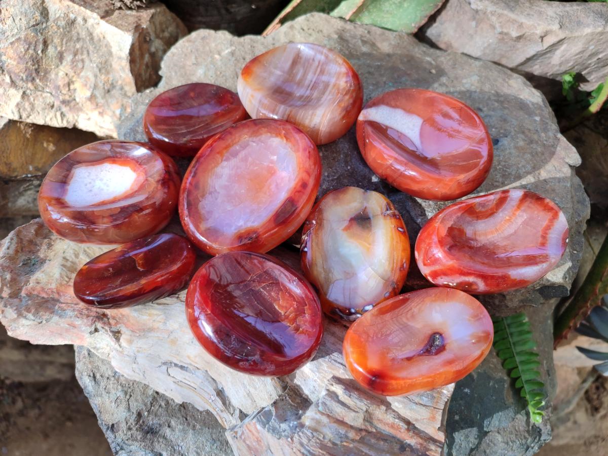 Polished Carnelian Agate Gemstone Bowls x 12 From Madagascar - Toprock Gemstones and Minerals 
