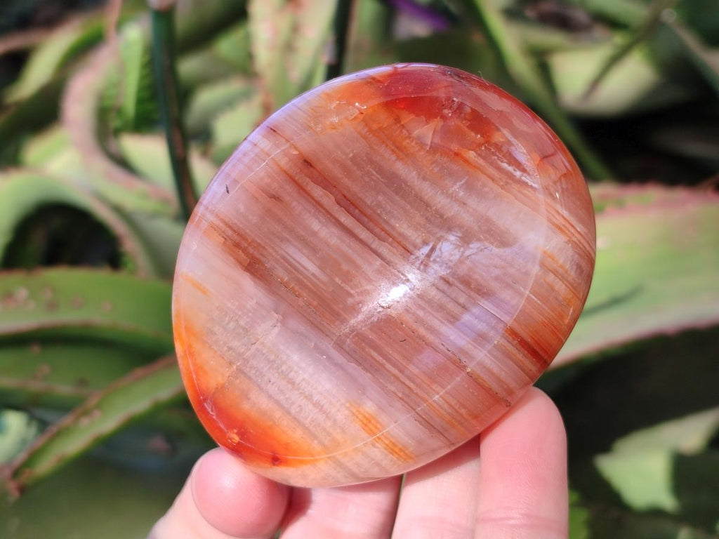 Polished Carnelian Agate Gemstone Bowls x 12 From Madagascar - Toprock Gemstones and Minerals 