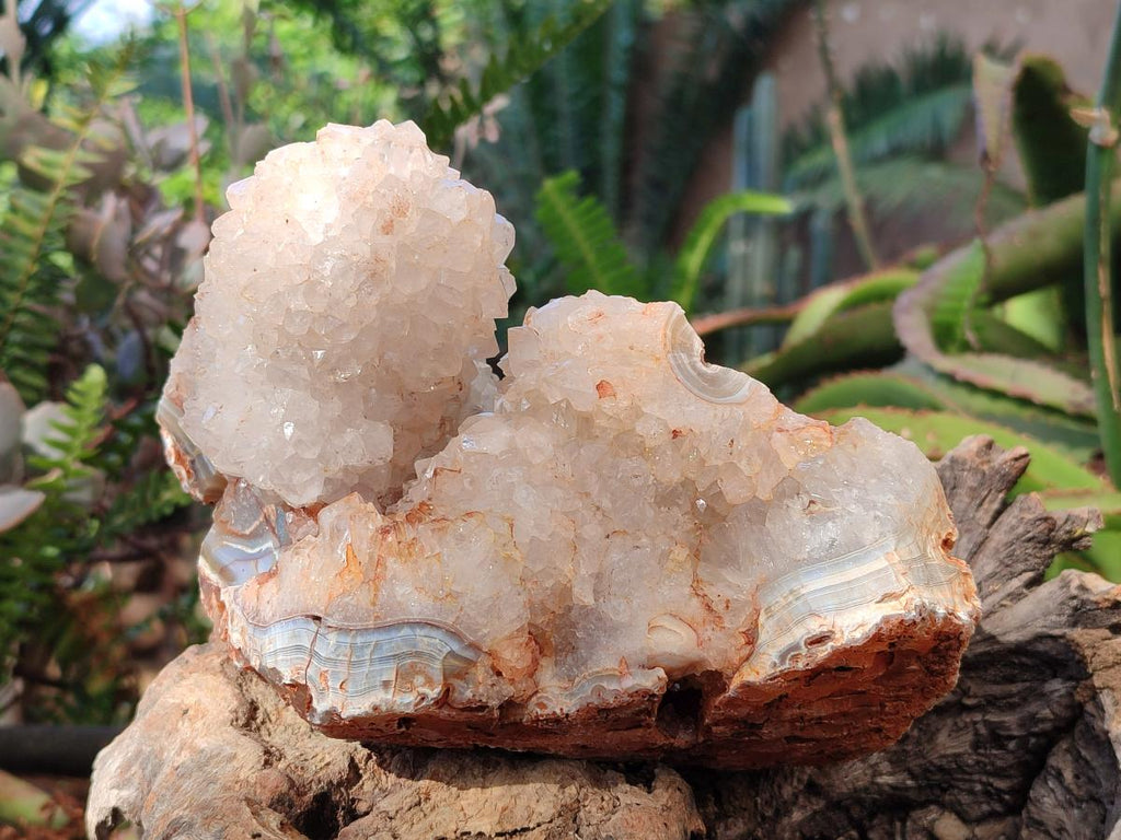 Natural Stalagmitic Agate with Cristobalite x 2 From Didi, Madagascar - Toprock Gemstones and Minerals 