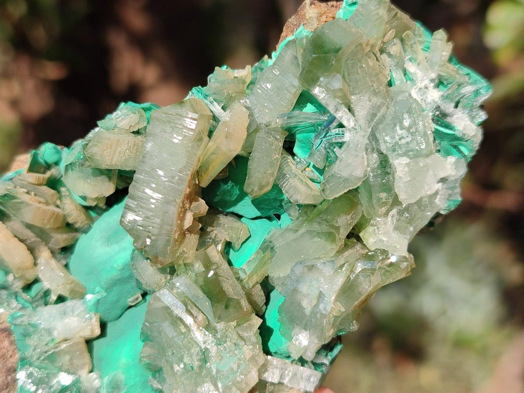 Natural Rare Bladed Barite Specimens with Malachite x 2 From Shangulowé Mine, Congo - Toprock Gemstones and Minerals 