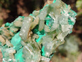 Natural Rare Bladed Barite Specimens with Malachite x 2 From Shangulowé Mine, Congo - Toprock Gemstones and Minerals 