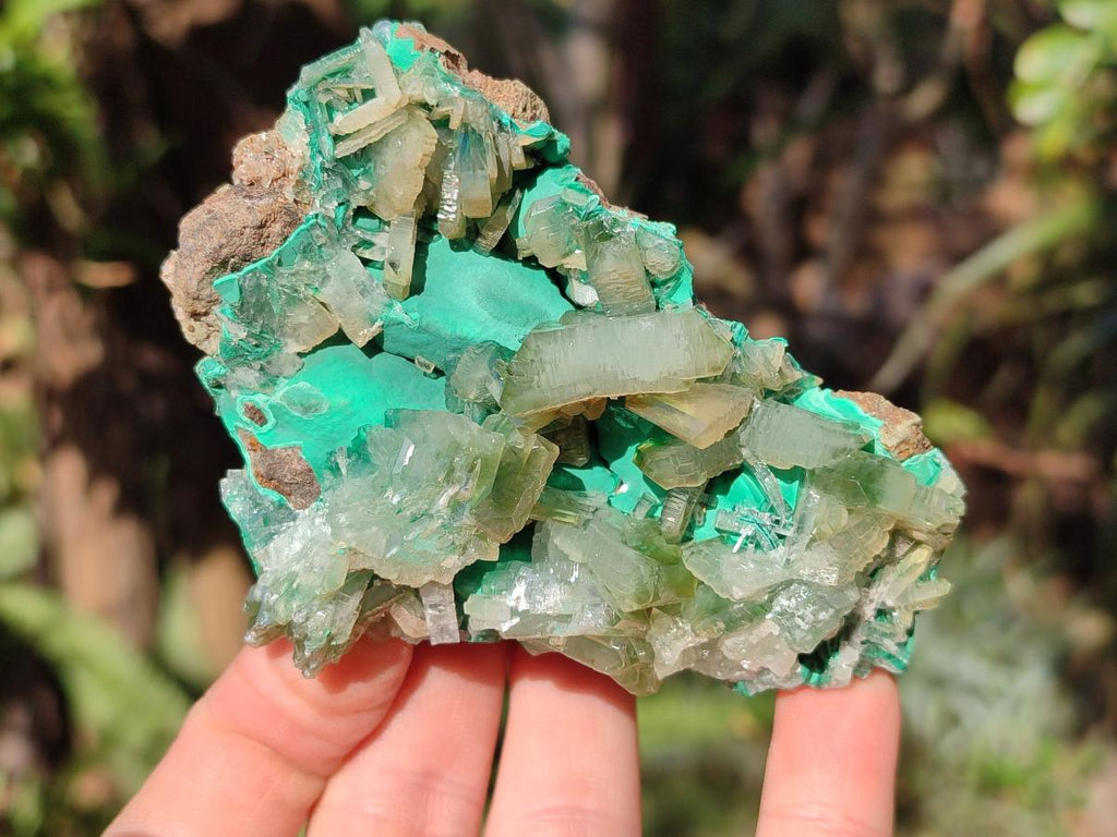 Natural Rare Bladed Barite Specimens with Malachite x 2 From Shangulowé Mine, Congo - Toprock Gemstones and Minerals 