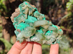 Natural Rare Bladed Barite Specimens with Malachite x 2 From Shangulowé Mine, Congo - Toprock Gemstones and Minerals 