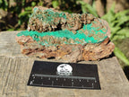 Natural Rare Bladed Barite Specimens with Malachite x 2 From Shangulowé Mine, Congo - Toprock Gemstones and Minerals 