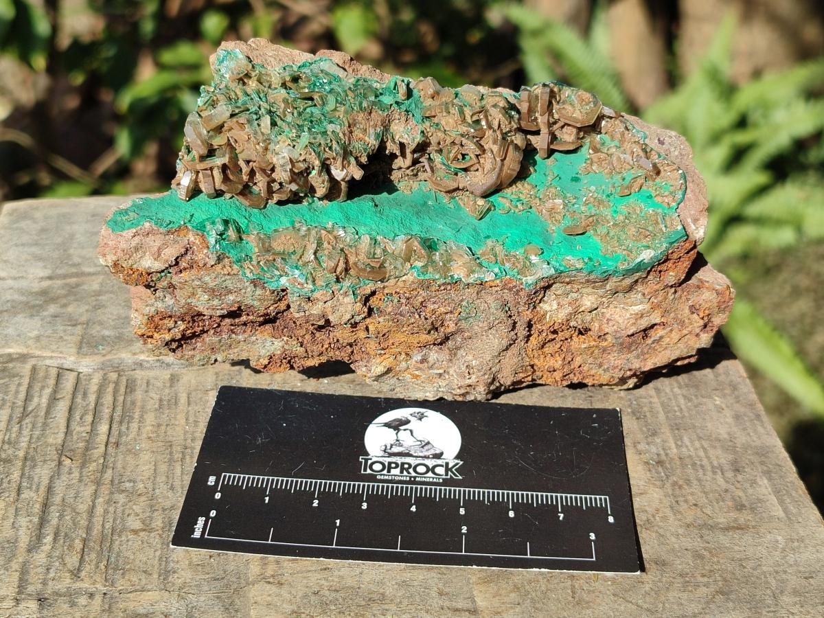 Natural Rare Bladed Barite Specimens with Malachite x 2 From Shangulowé Mine, Congo - Toprock Gemstones and Minerals 