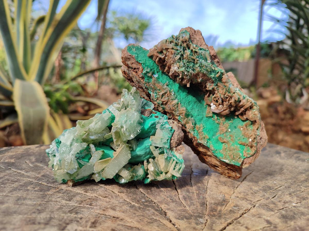 Natural Rare Bladed Barite Specimens with Malachite x 2 From Shangulowé Mine, Congo - Toprock Gemstones and Minerals 