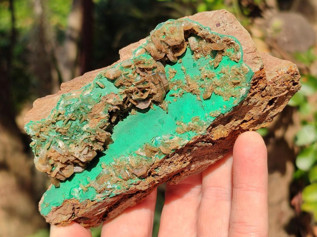 Natural Rare Bladed Barite Specimens with Malachite x 2 From Shangulowé Mine, Congo - Toprock Gemstones and Minerals 