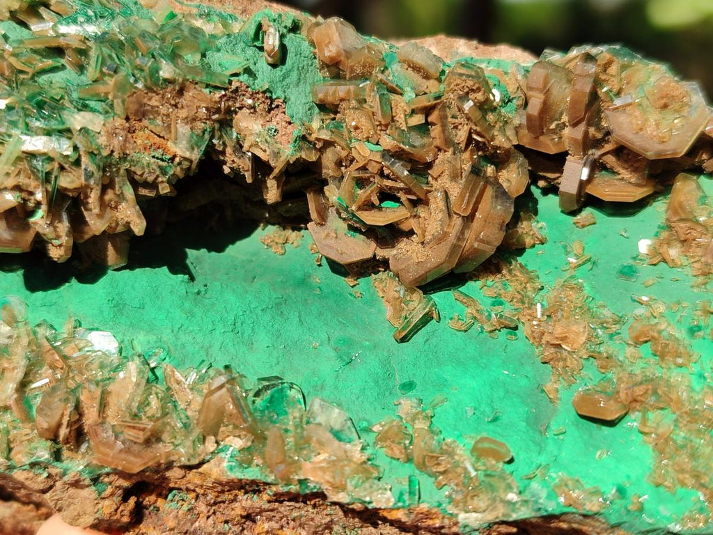 Natural Rare Bladed Barite Specimens with Malachite x 2 From Shangulowé Mine, Congo - Toprock Gemstones and Minerals 