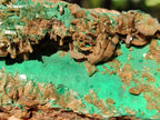 Natural Rare Bladed Barite Specimens with Malachite x 2 From Shangulowé Mine, Congo - Toprock Gemstones and Minerals 