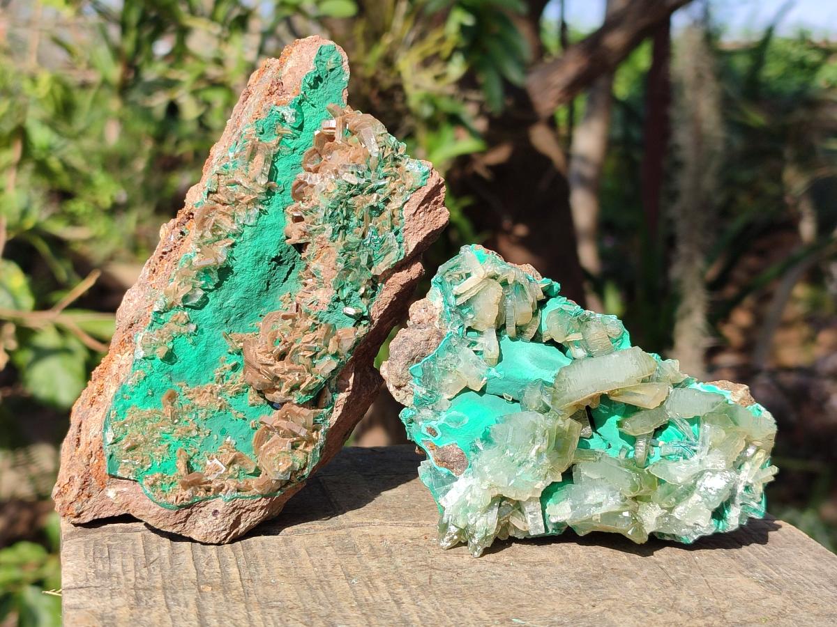 Natural Rare Bladed Barite Specimens with Malachite x 2 From Shangulowé Mine, Congo - Toprock Gemstones and Minerals 