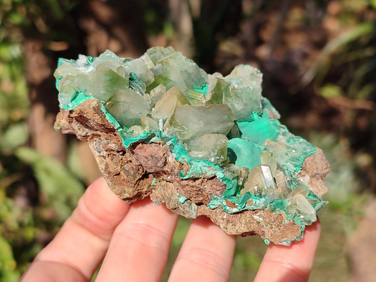 Natural Rare Bladed Barite Specimens with Malachite x 2 From Shangulowé Mine, Congo - Toprock Gemstones and Minerals 