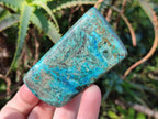 Polished Shattuckite Free Forms x 12 From Kaokoveld, Namibia - Toprock Gemstones and Minerals 