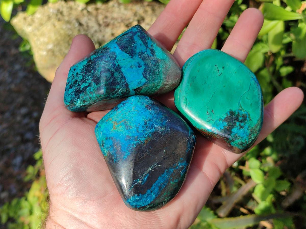 Polished Shattuckite Free Forms x 12 From Kaokoveld, Namibia - Toprock Gemstones and Minerals 