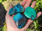 Polished Shattuckite Free Forms x 12 From Kaokoveld, Namibia - Toprock Gemstones and Minerals 