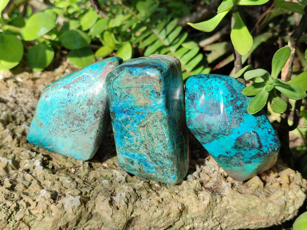 Polished Shattuckite Free Forms x 12 From Kaokoveld, Namibia - Toprock Gemstones and Minerals 